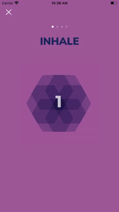 تصاویر PRISM Resilience