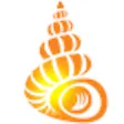 Shell Museum: Identify Shells Shell Museum: Identify Shells