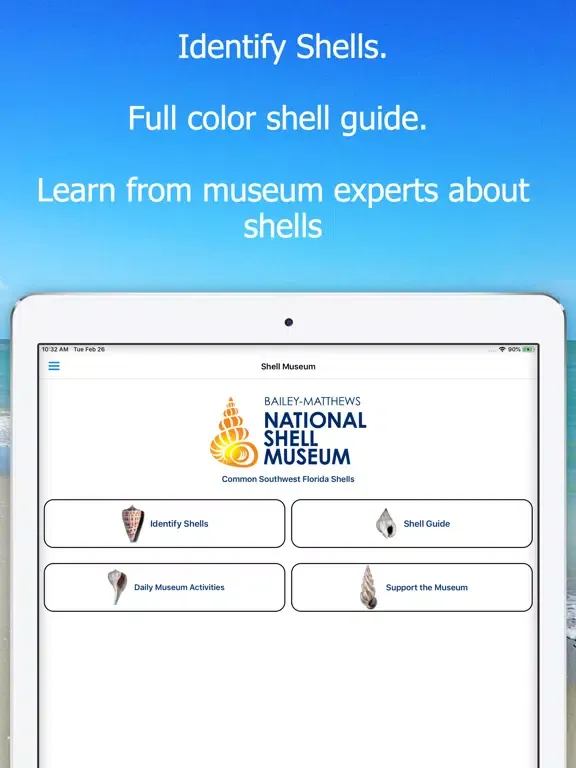 ภาพหน้าจอของ Shell Museum: Identify Shells iPad 