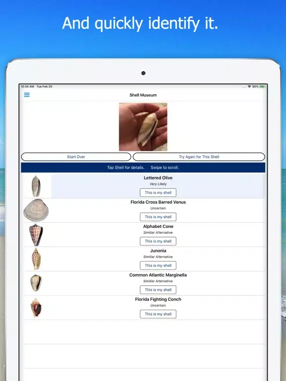 ภาพหน้าจอของ Shell Museum: Identify Shells iPad 