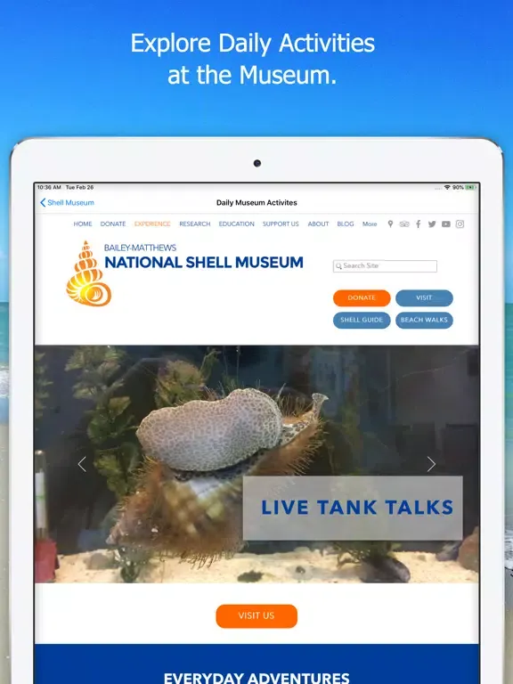 ภาพหน้าจอของ Shell Museum: Identify Shells iPad 