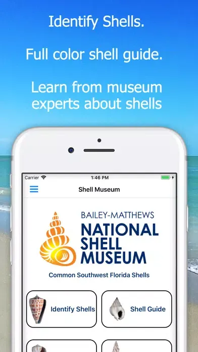 ภาพหน้าจอของ Shell Museum: Identify Shells