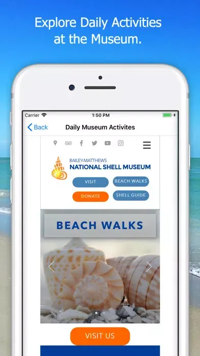ภาพหน้าจอของ Shell Museum: Identify Shells