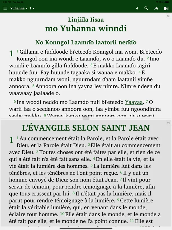Capturas de pantalla de Fulfulde Dewtere iPad 