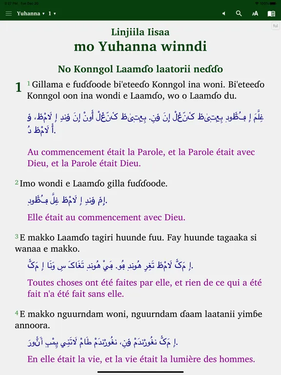 Capturas de pantalla de Fulfulde Dewtere iPad 