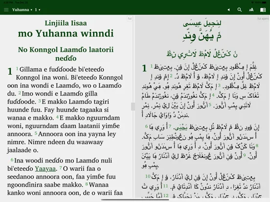 Capturas de pantalla de Fulfulde Dewtere iPad 