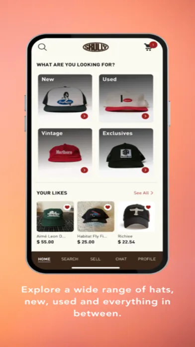 Скриншоты Skully Marketplace