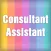 Consultant Assistant for LLR