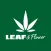 Leaf and Flower
