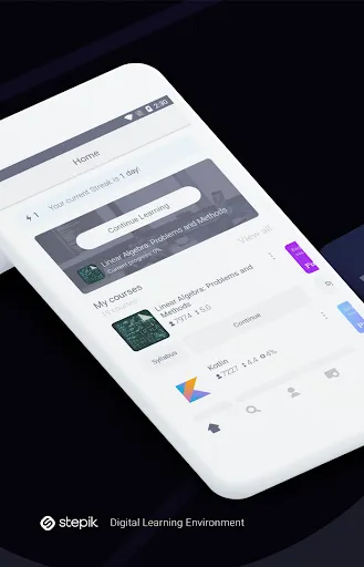 Stepik: online courses Ekran Görüntüleri