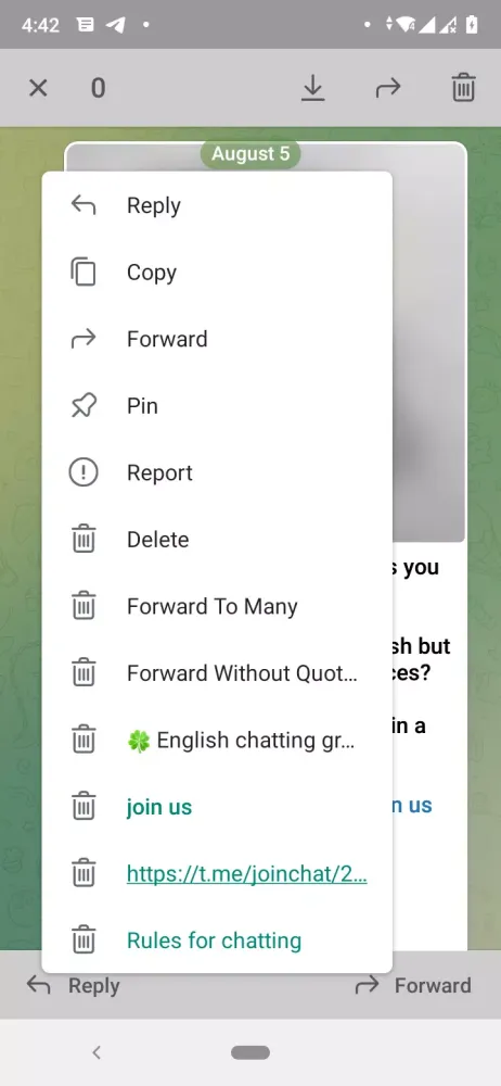 Telelight-Accessible Telegram Screenshots
