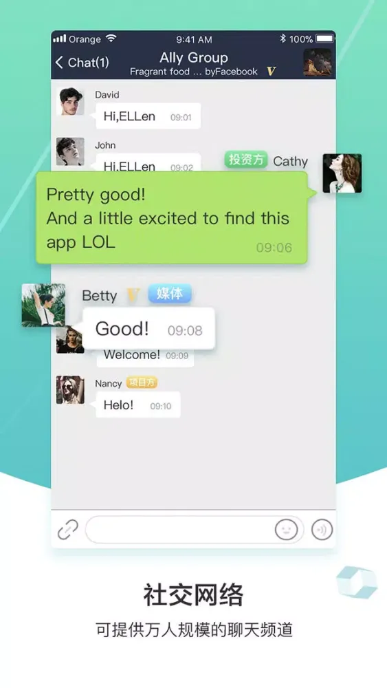 Screenshot di Ally network powered by ancora