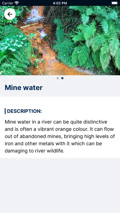 Tangkapan skrin Big River Watch