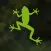The Living Rainforest Explorer