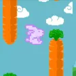 Hit game Bunny jump Hit game Bunny jump
