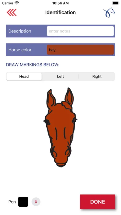 USEF Stall Side應用截圖