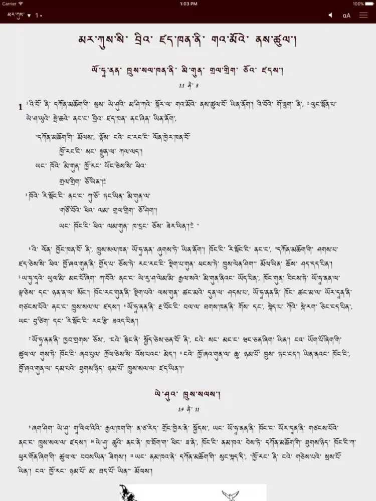 Zrzuty ekranu Ladakhi Bible iPad 