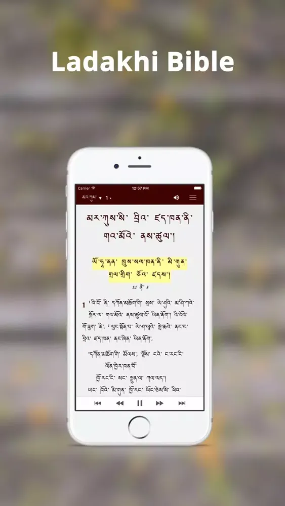 Zrzuty ekranu Ladakhi Bible