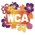 WCA 2020