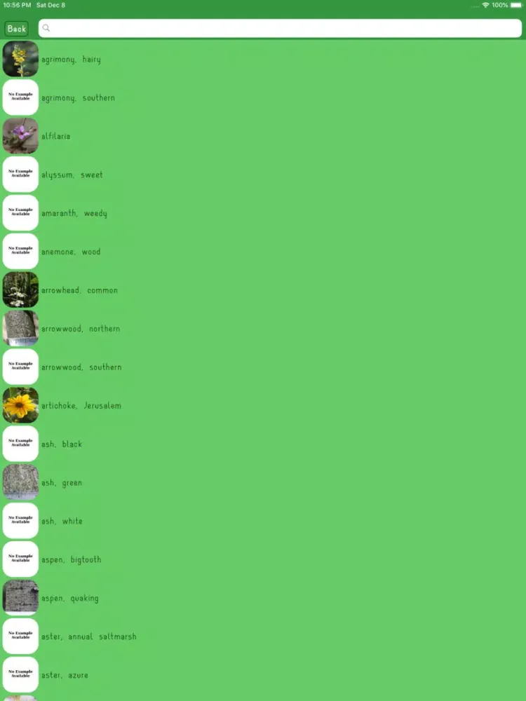 Ảnh chụp màn hình của WildPlantID iPad 
