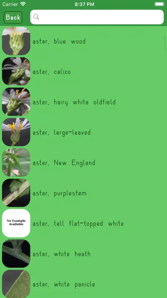 Ảnh chụp màn hình của WildPlantID