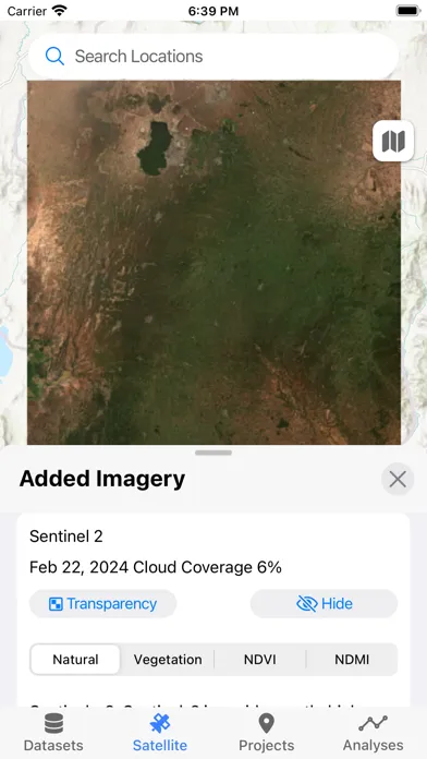 Spatial Agent Screenshots