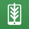 FlorestaDB