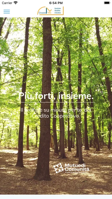 Screenshot di Groane Vita