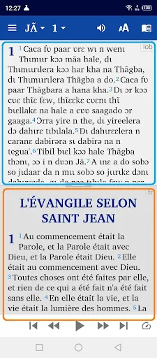 Capturas de pantalla de Lobiri bible français English