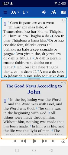 Capturas de pantalla de Lobiri bible français English