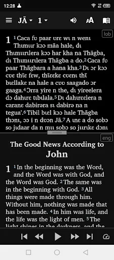 Capturas de pantalla de Lobiri bible français English