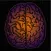 DualBrain+  Brain Training