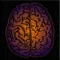DualBrain+  Brain Training