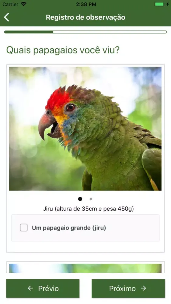 Ảnh chụp màn hình của Guardiões do Chauá