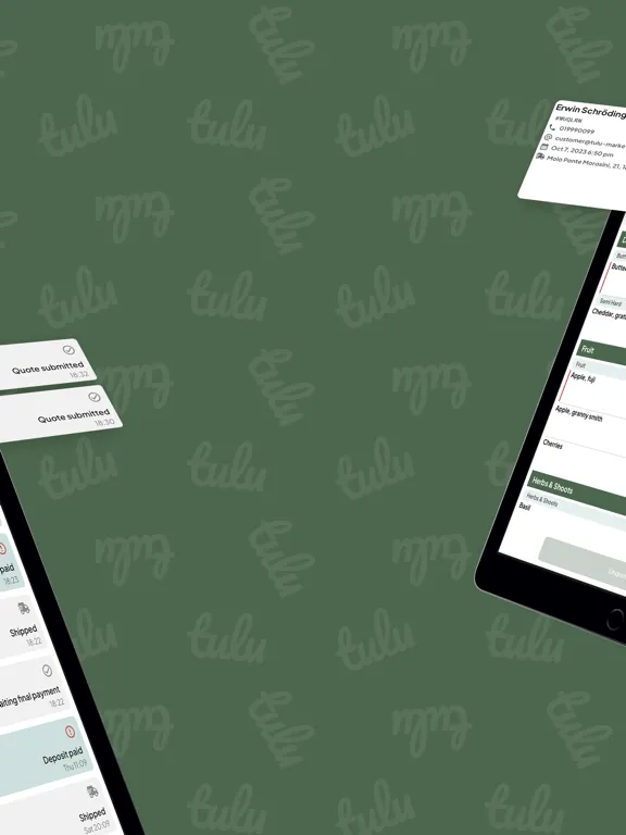Ảnh chụp màn hình của Tulu Merchant iPad 