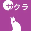 五十音圖Lite 五十音圖Lite