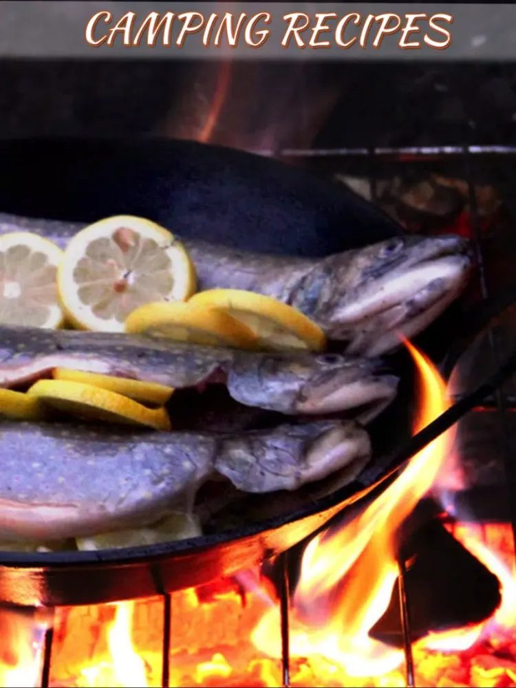 Camping Recipes HD iPad  Screenshots