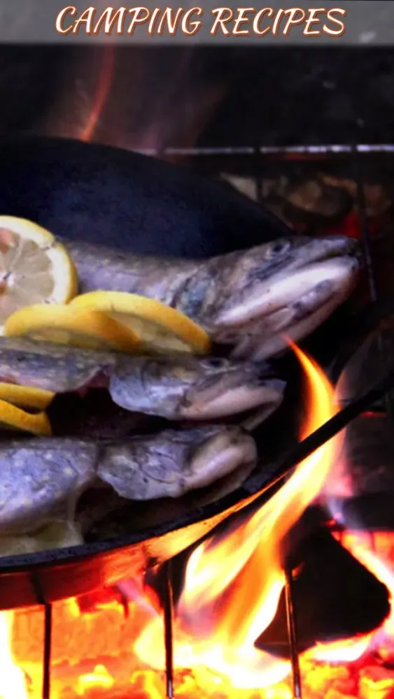 Camping Recipes HD Screenshots