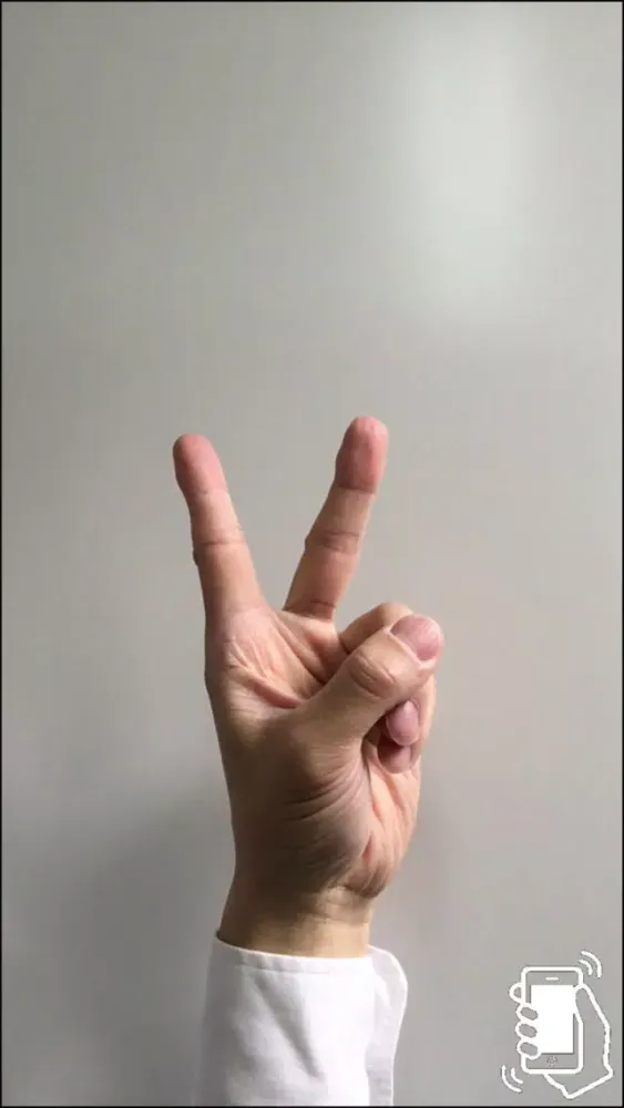 SelfTaking スクリーンショット