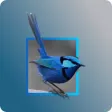 Blue Wren Child Care Centre Blue Wren Child Care Centre