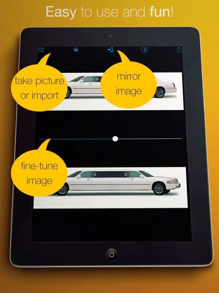 صور Symmetrical Selfie iPad 