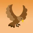 yuru Bird Photo
