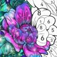 Color Art