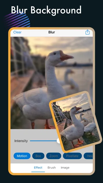 Blur Photo Background Editor应用截图