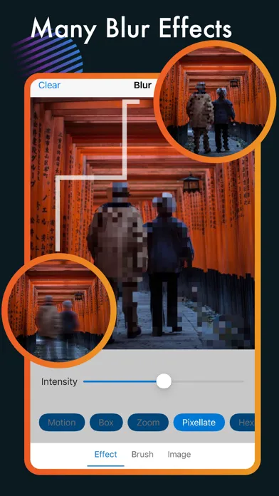 Blur Photo Background Editor应用截图
