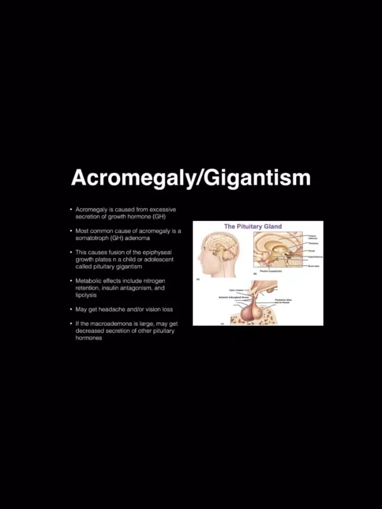 Tangkapan layar Endocrine Blueprint PANCE PANRE Review Course iPad 