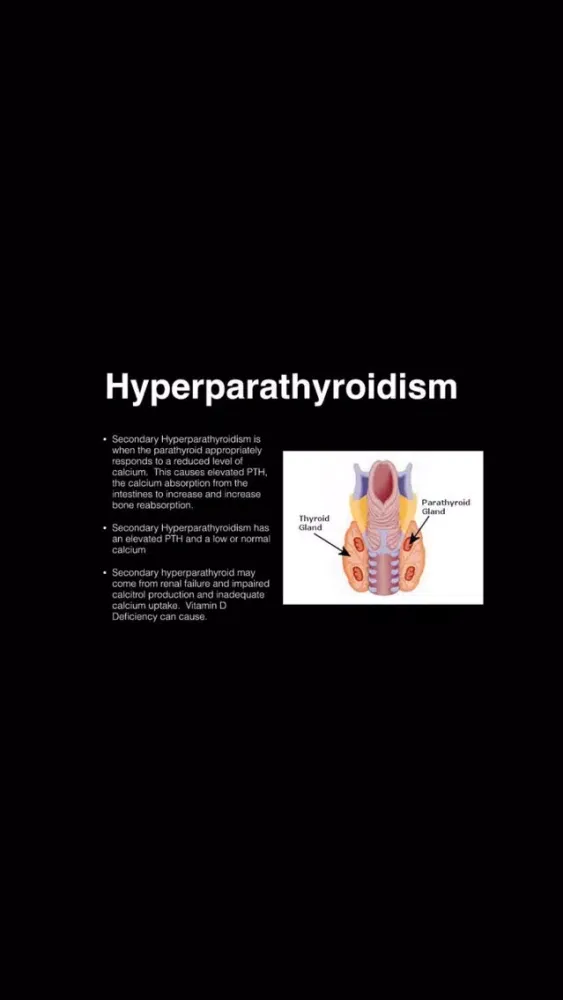 Tangkapan layar Endocrine Blueprint PANCE PANRE Review Course
