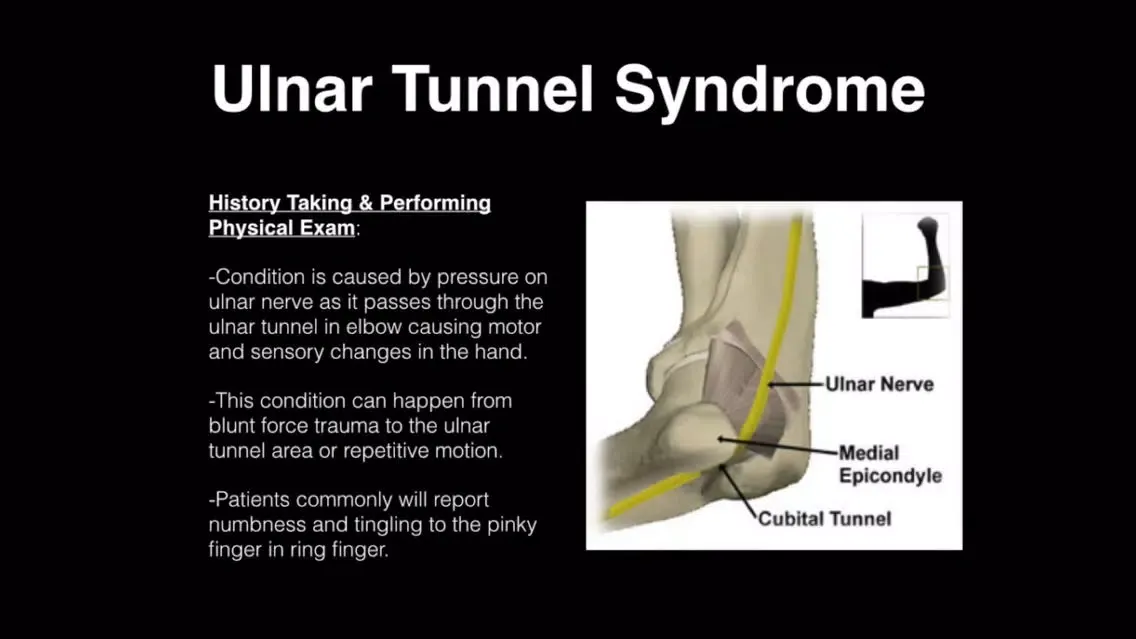 تصاویر Musculoskeletal Blueprint PANCE PANRE Review Course