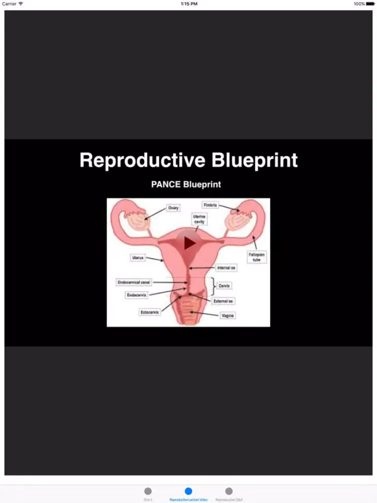 Reproductive Blueprint PANCE PANRE Review Course iPad  Ekran Görüntüleri