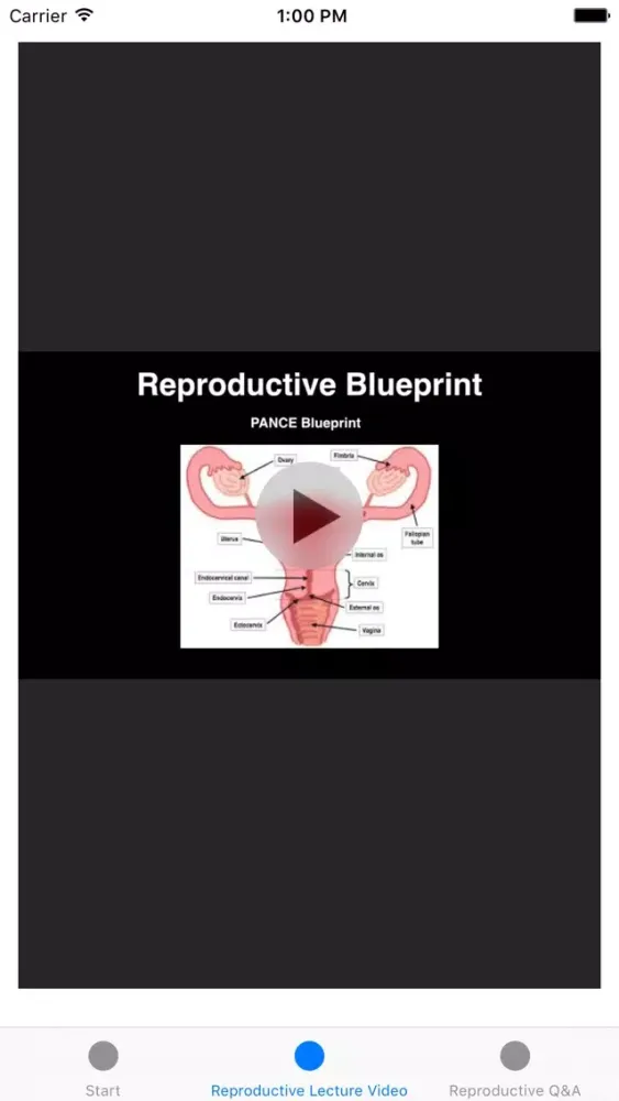 Reproductive Blueprint PANCE PANRE Review Course Ekran Görüntüleri